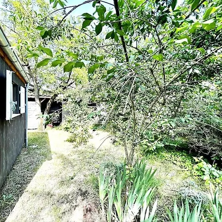Harmonie - Maison Située Dans Un écrin De Verdure * La Tremblade