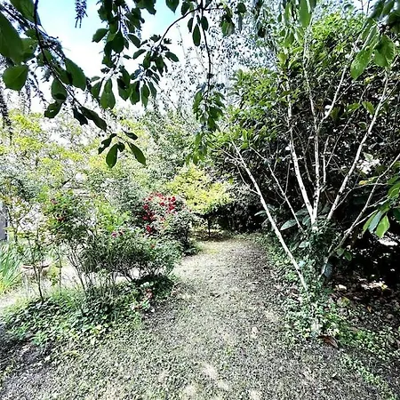 Hébergement de vacances Harmonie - Maison Située Dans Un écrin De Verdure